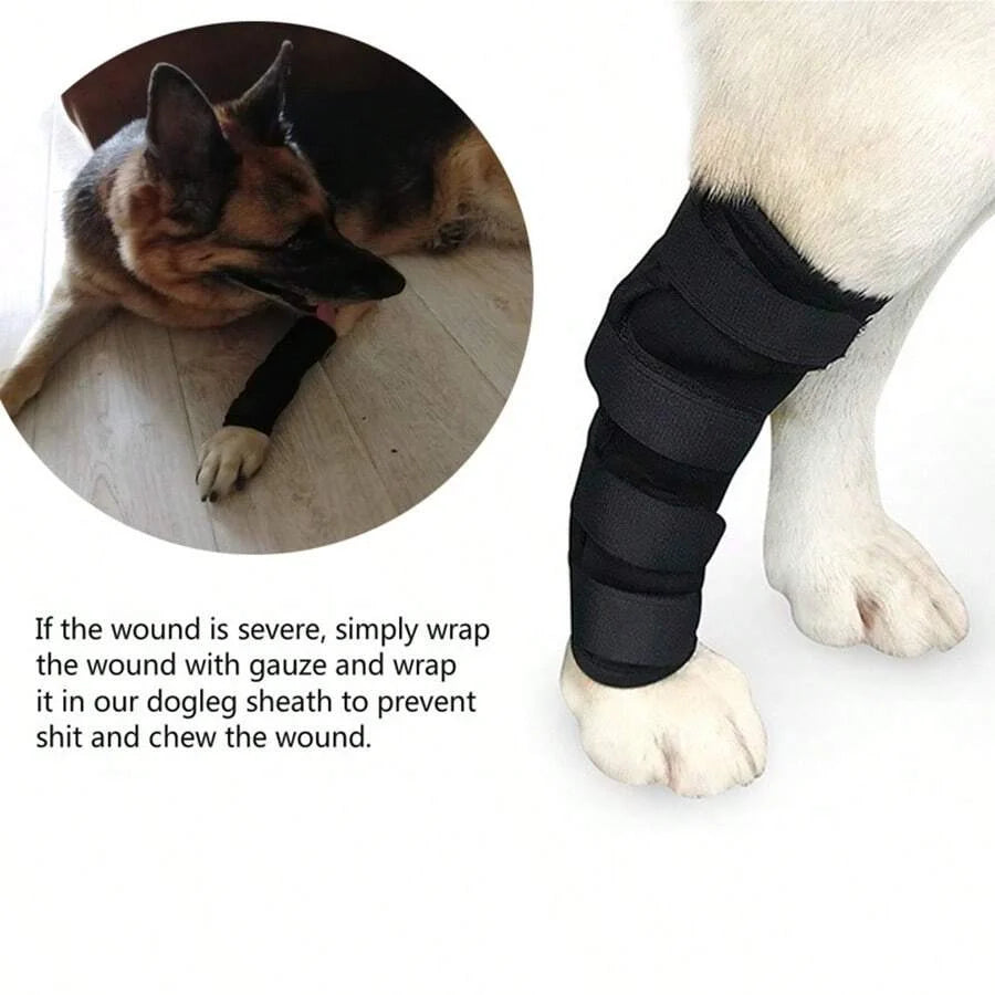 Prevent Chew Licking Hock Joint