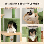 Floor to Ceiling Cat Tree