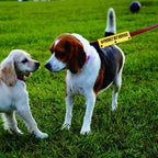 Funny Leash Sleeve