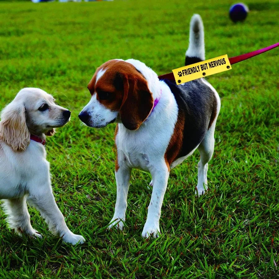 Funny Leash Sleeve