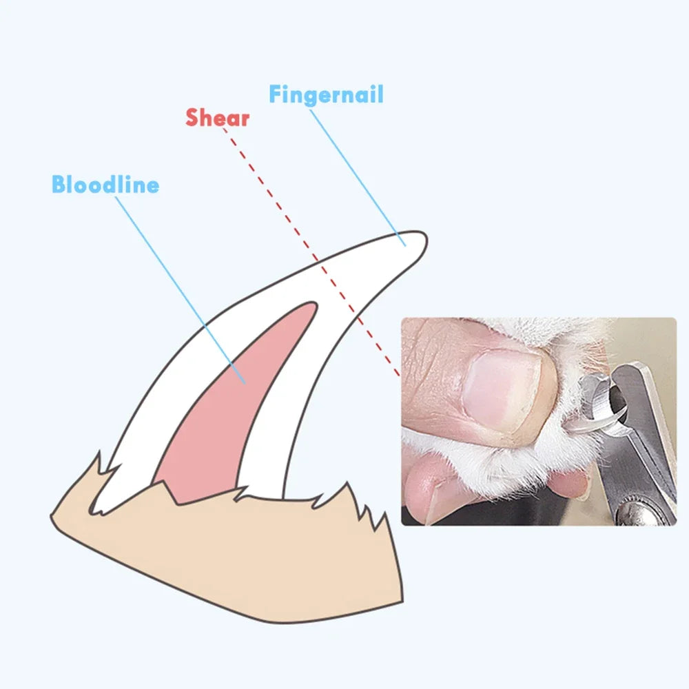 Professional Pet Nail Clippers