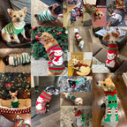Dog Sweater Winter Warm