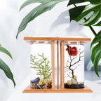 Glass Betta Fish Tank with LED Light