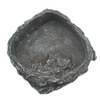 Reptile Amphibians Food/Water Dish