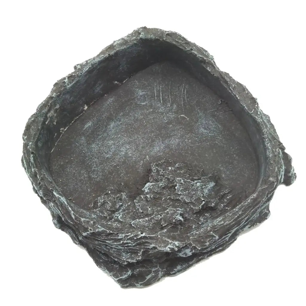 Reptile Amphibians Food/Water Dish