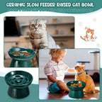 2 Pcs Raised Slow Feeder Bowl