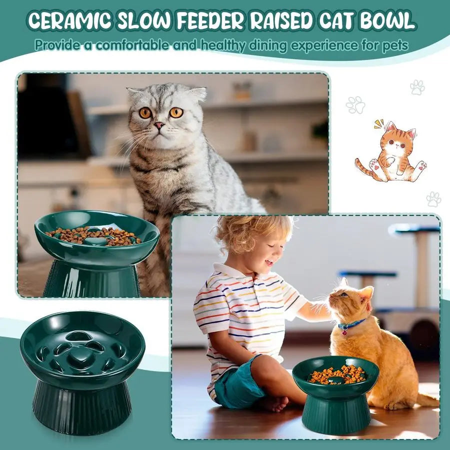 2 Pcs Raised Slow Feeder Bowl