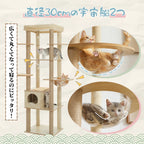 Multi-Level Cat Tree
