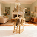 White + wood Cat Tree