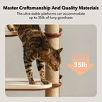 Infinity Cat Tree Tower