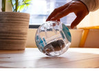 Plastic Outdoor Sport Ball