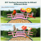 Smart Bird Feeder