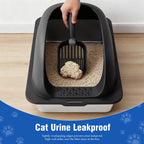 Cat Litter Box with Lid