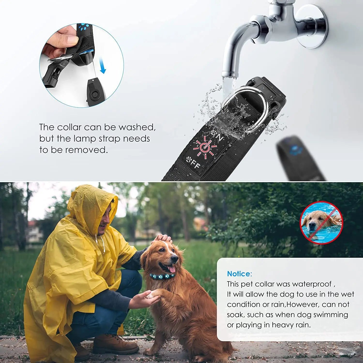 Rechargeable LED Dog Collar