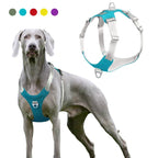 Pet Dog Harness Vest