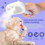 Grooming Hair Brush