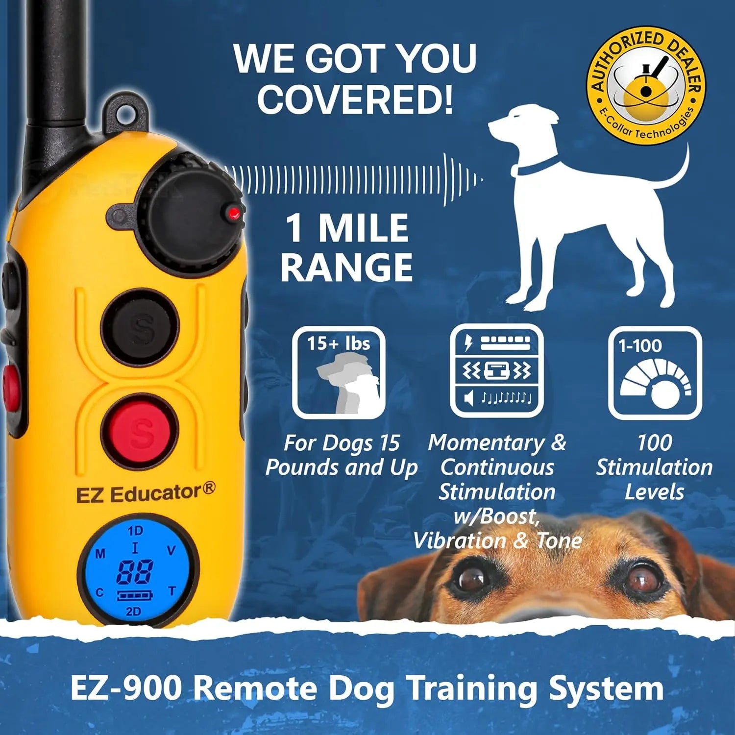 Collar for Dog Training with Remote
