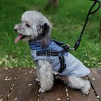 Winter Dog Jacket