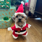 Christmas Dog Costume