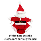 Christmas Dog Costume