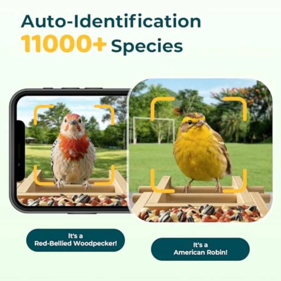 Bird Feeder with Camera