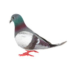 Foam Pigeon Ornaments