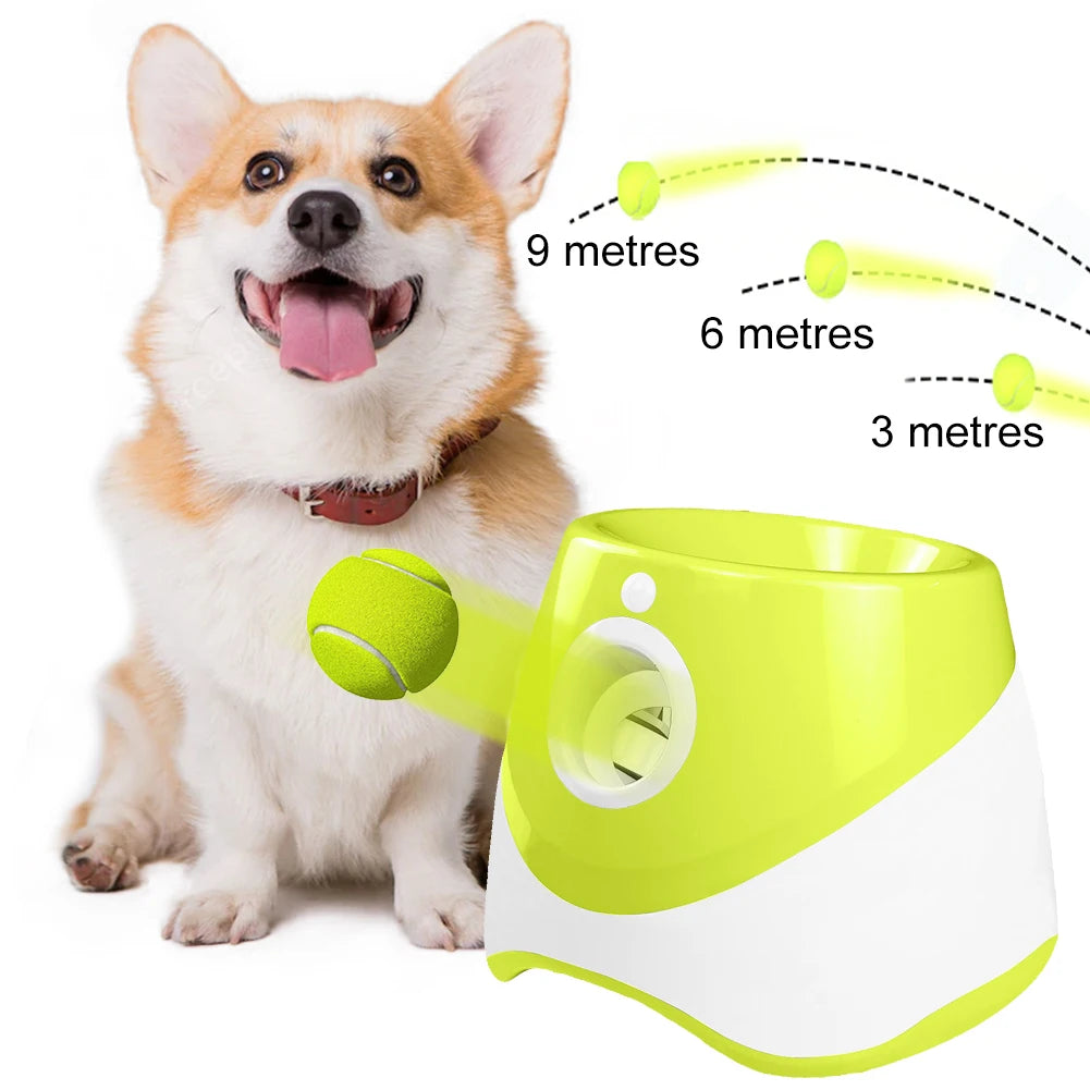 Automatic Dog Ball Thrower