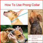 Stainless Steel Dog Training Collar