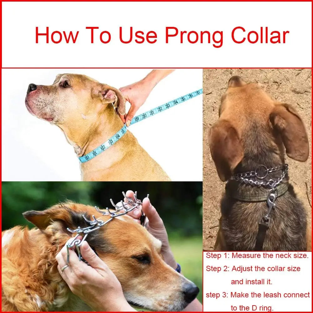 Stainless Steel Dog Training Collar