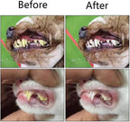 Finger Toothbrushes Dog/Cat