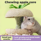 Apple Core Shaped Hamster Chew Toy