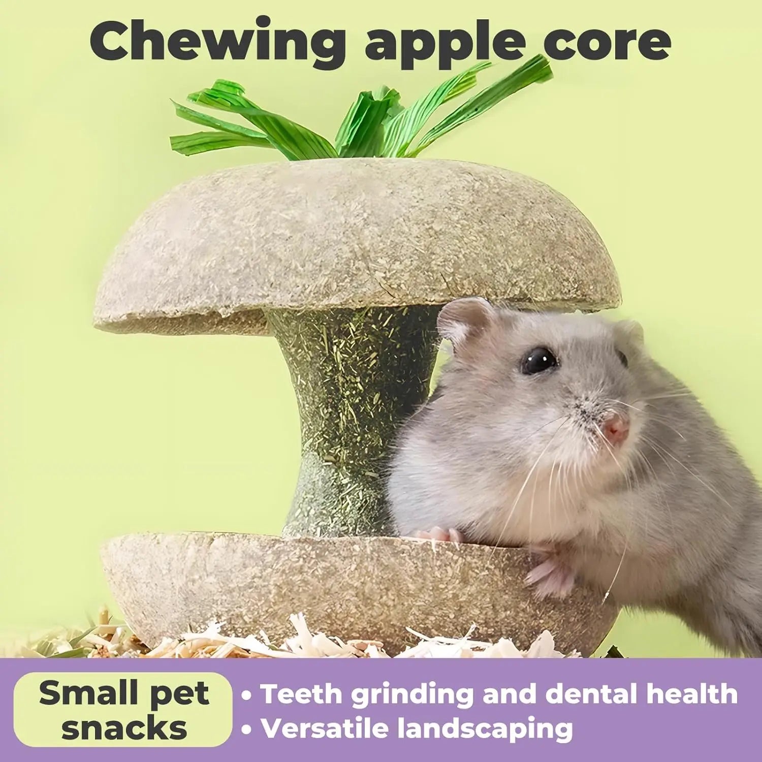 Apple Core Shaped Hamster Chew Toy
