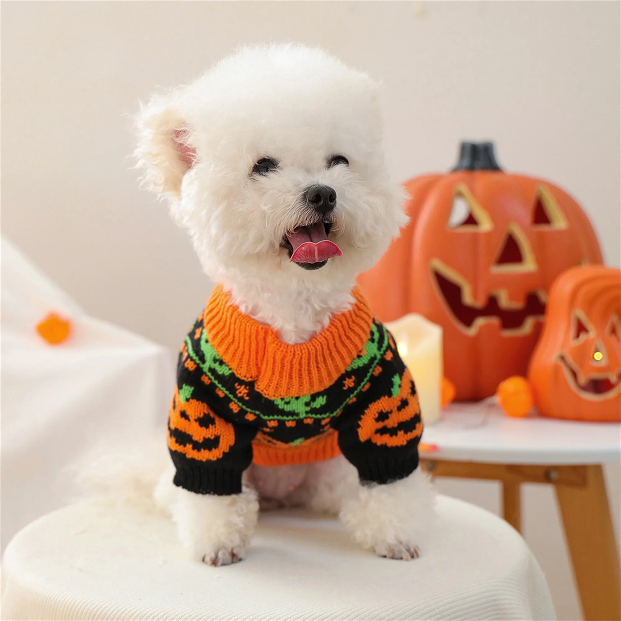Halloween Ghost Costume for Dogs/Cats