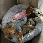 Dog Clothes Hoodies Wind Coat