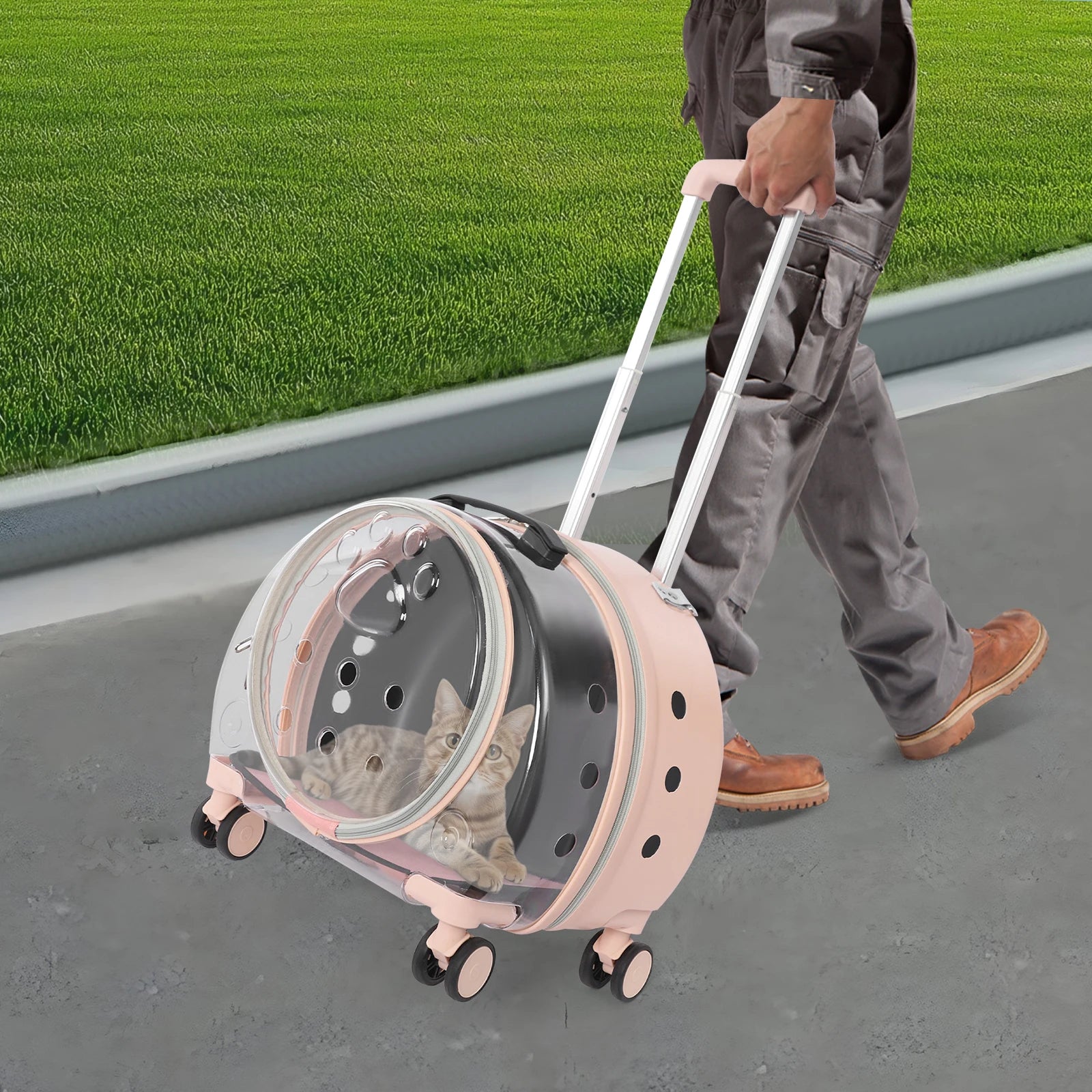 Cat Carrier with Wheels