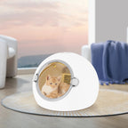 Automatic Pet Dryer Machine