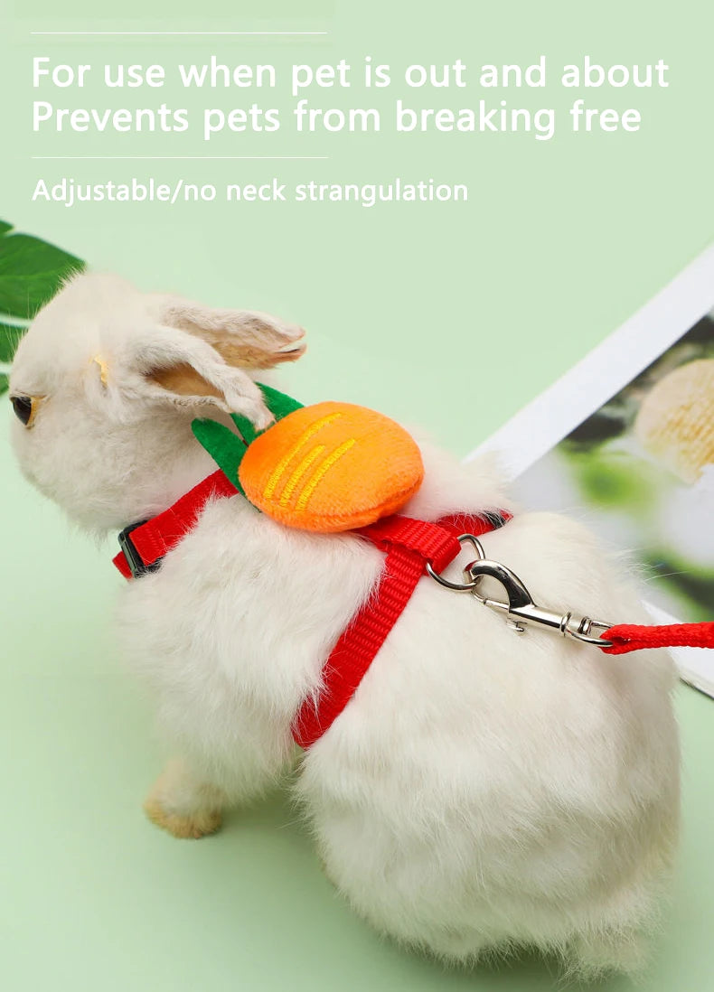 Rabbit/Cat Harness/Leash Set