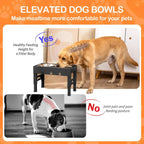 Adjustable Height Dog Bowl Stand