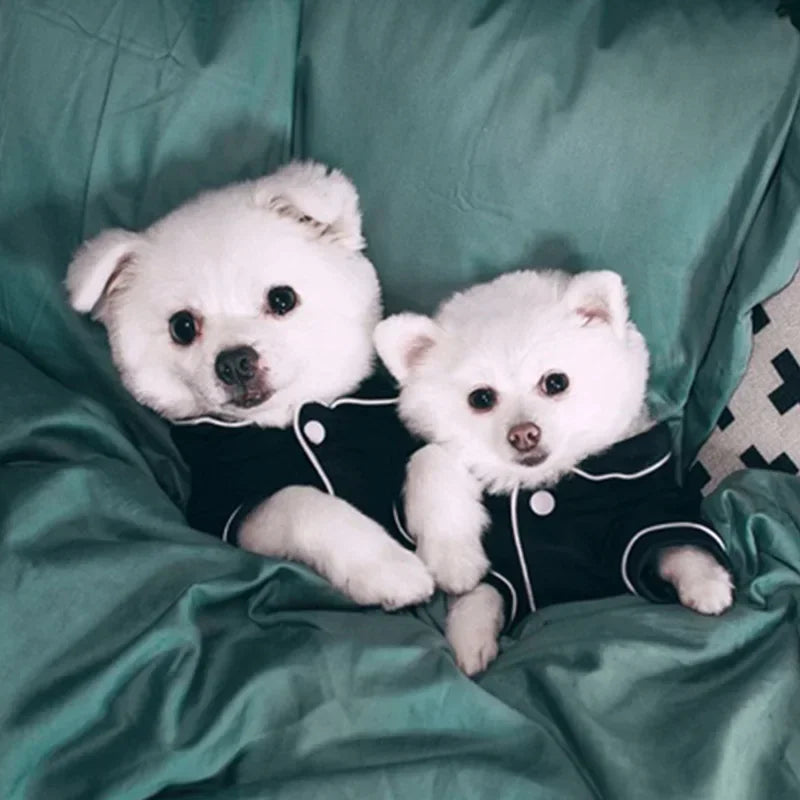 Dog Pajamas Summer