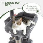 66in Multi-Level Large Cat Tree