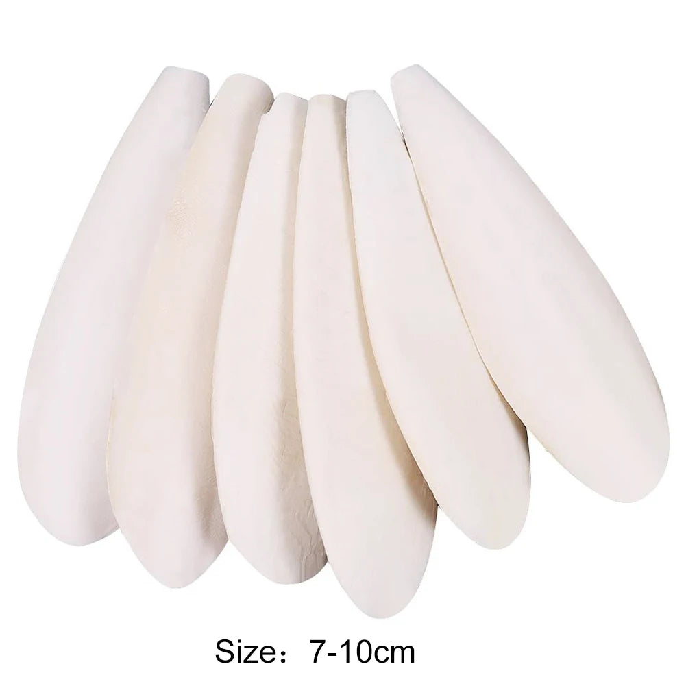 Cuttlefish Bone Calcium Supplements