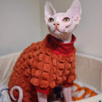 Elegant Warm Sphynx Cat Turtleneck