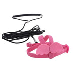 Bird Harness/Leash Training