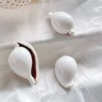 1pc Pure White Conch Shell