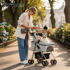 Stroller for Traveling