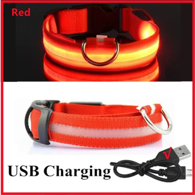 USB Charging LED Dog Collar