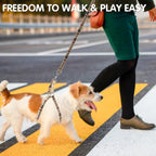 Adjustable Harness Collar Leash Set