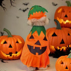 2Pcs Halloween Cat Costumes