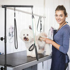 Dog Shower Stand Stainless Steel