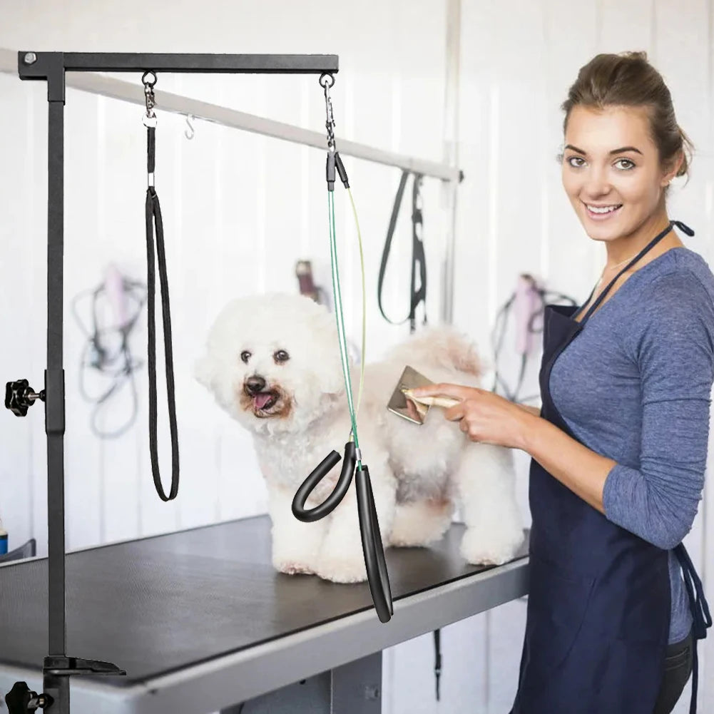 Dog Shower Stand Stainless Steel